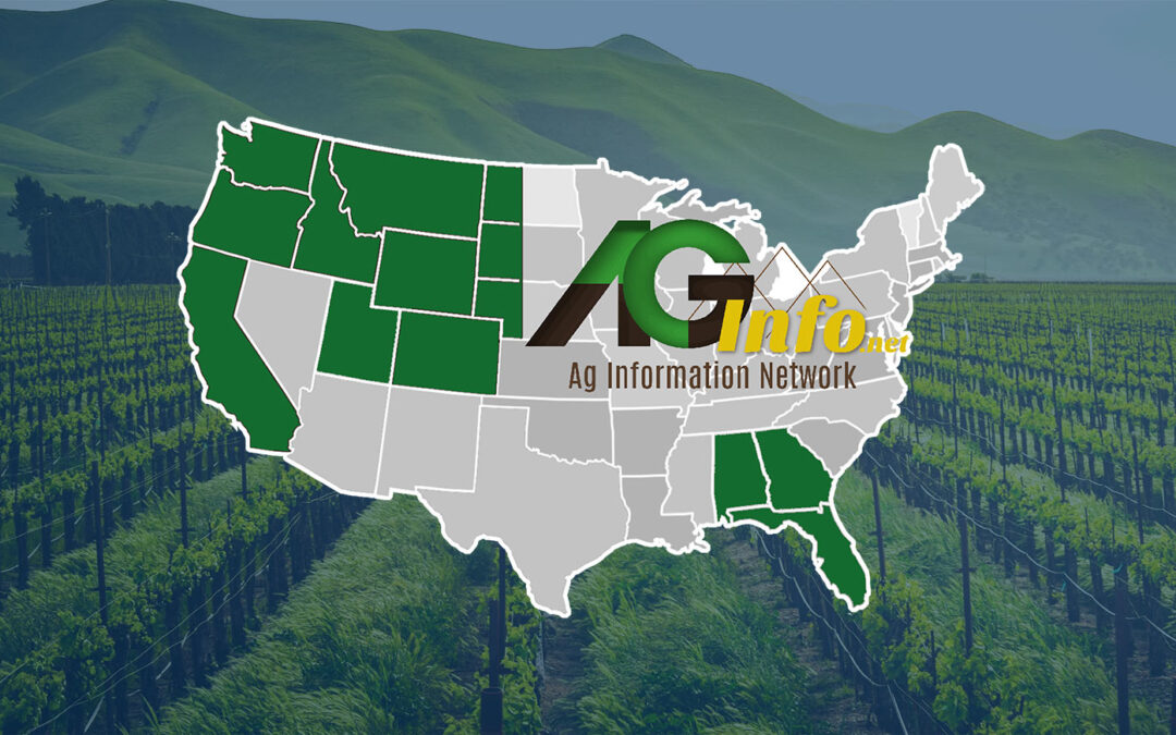 AG Info Network Map Graphic