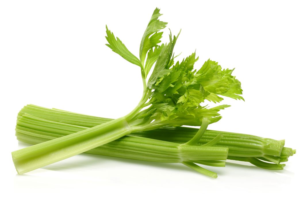 celery-stock_reduced