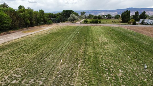 LobatoFarmsCSU_Hay-WaterSavings_WEB