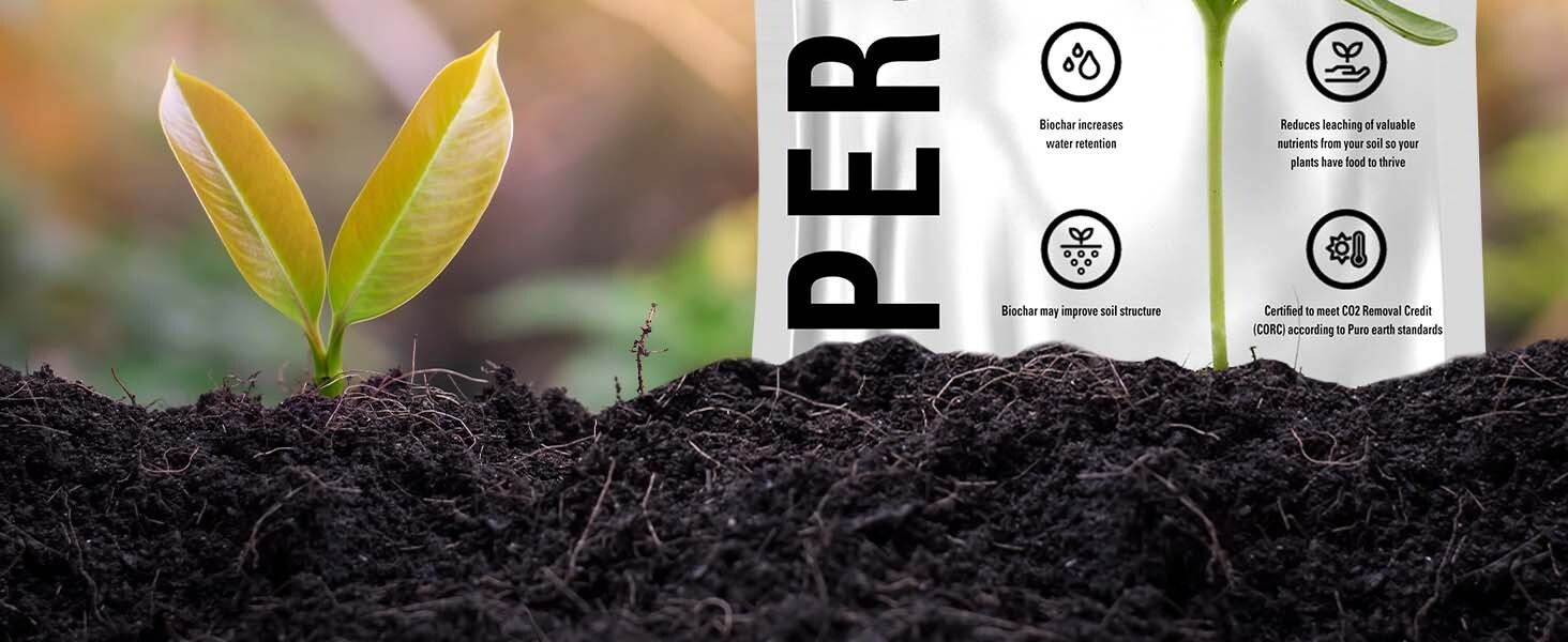 Biochar_A_Content_2