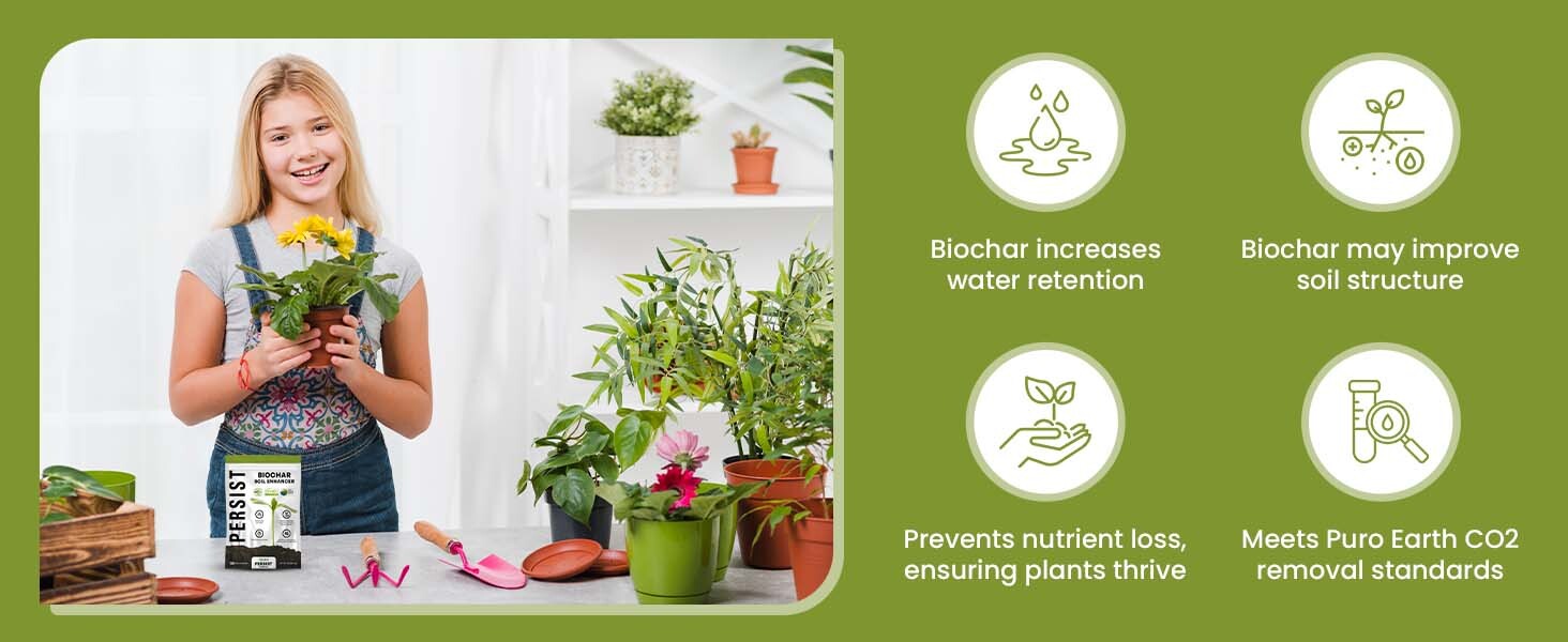 Biochar_A_Content_3