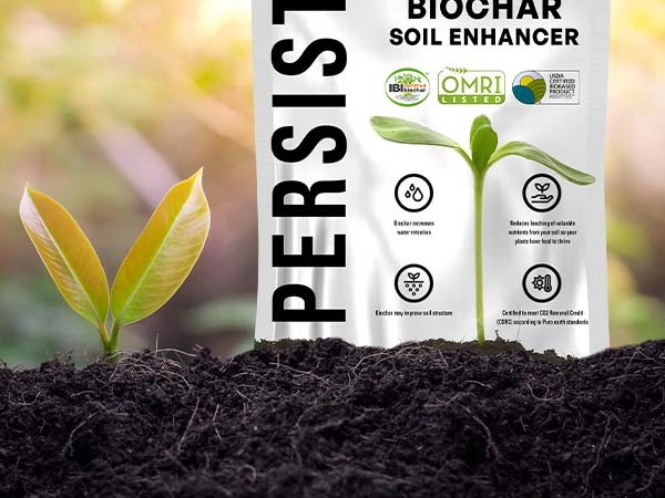 Biochar_phone_A_Content_2