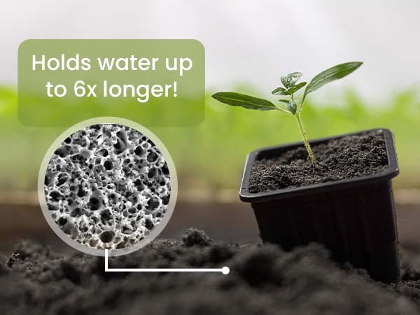 Biochar_phone_A_Content_5