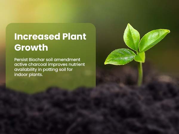 Biochar_phone_A_Content_6