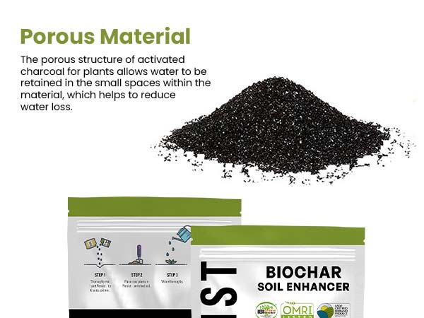 Biochar_phone_A_Content_7