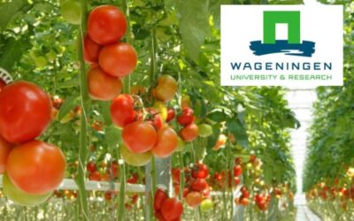 University Trial Confirms Persist® PAF Enhances Plant-Beneficial Microbes