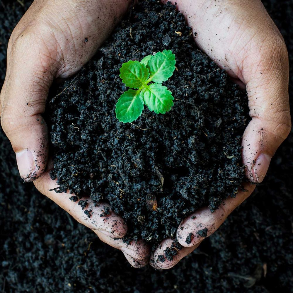 hands-soil-microbes_1000x1000